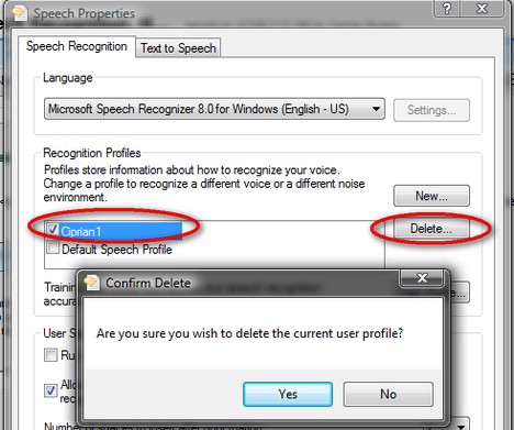 Windows Speech Recognition