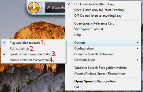 Windows Speech Recognition