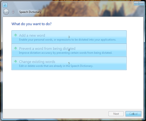 Windows Speech Recognition