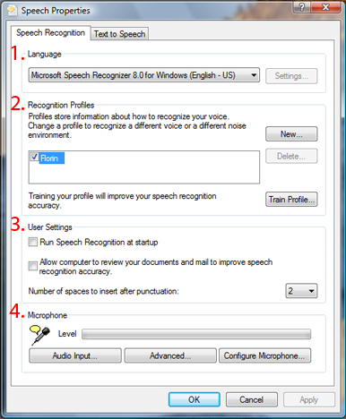 Windows Speech Recognition