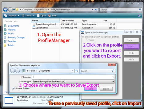 Speech Recognition Profile Manager Tool